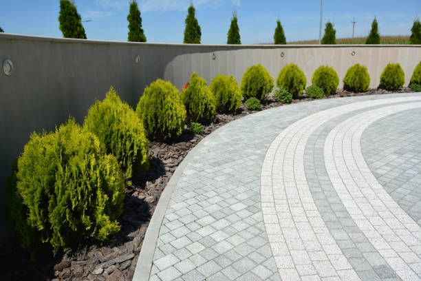 Best Professional Driveway Pavers  in Dansville, NY